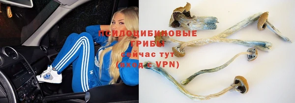 дмт Костерёво