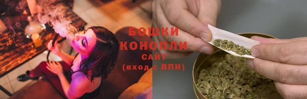 дмт Костерёво