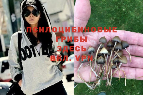 дмт Костерёво