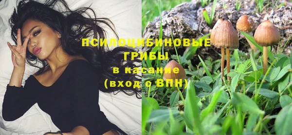дмт Костерёво