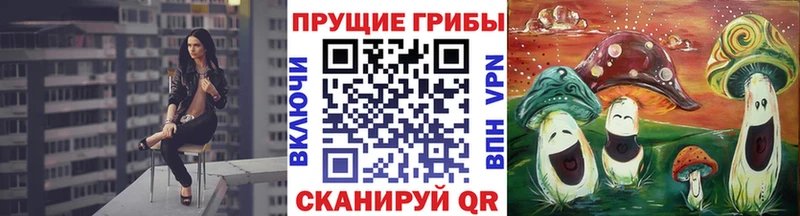 Купить закладки  Перевоз  Псилоцибиновые грибы Psilocybe 